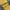 CPFM Sportswear Sweater Pria yellow photo 4