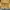CPFM Sportswear Sweater Pria yellow photo 2