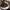 Coach Poppy Ikat Signature Foldover Crossbody/Handbag photo 6