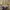 Coach Poppy Ikat Signature Foldover Crossbody/Handbag photo 5