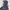 Adidas Casual Windbreaker Pria navy photo 3
