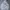 Champion Casual Hoody Pria white photo 1