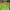 Salomon Vintage Streetwear Bomber Jacket Pria Green