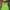Salomon Vintage Streetwear Bomber Jacket Pria Green