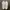 Puma Streetwear Sneakers Pria white black photo 5