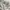 JOURNAL STANDARD Streetwear Y2K Casual pants Pria white cream photo 5