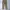 Ben Davis Streetwear Casual Casual pants Pria tan khaki photo 2