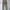 Ben Davis Streetwear Casual Casual Pants Pria Tan Khaki