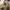 Ben Davis Streetwear Casual Casual pants Pria tan khaki photo 5