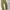 EDWIN Vintage Casual Casual pants Pria gold tan photo 2