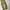 EDWIN Vintage Casual Casual pants Pria gold tan photo 1