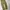 EDWIN Vintage Casual Casual Pants Pria Gold Tan
