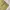 EDWIN Vintage Casual Casual pants Pria gold tan photo 4