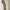 EDWIN Vintage Casual Casual pants Pria gold tan photo 3