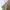 Ben Davis Vintage Casual Casual pants Pria tan khaki photo 1