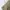 Ben Davis Vintage Casual Casual Pants Pria Tan Khaki