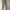 Ben Davis Vintage Casual Casual pants Pria tan khaki photo 2