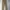 Ben Davis Vintage Casual Casual Pants Pria Tan Khaki