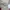 Dickies Vintage Casual Casual pants Pria khaki photo 8