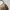 Coach Vintage Y2K Handbag Wanita tan brown photo 5
