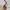 Coach Vintage Y2K Hobo bag Wanita tan pink photo 2