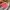 Coach Vintage Y2K Hobo bag Wanita tan pink photo 5