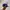 New Era Y2K Hat Pria blue photo 2