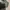 Vivienne Westwood Casual Tote bag Wanita multicolor photo 7