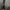 Vivienne Westwood Casual Tote bag Wanita multicolor photo 3