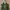 Vivienne Westwood Casual Tote bag Wanita multicolor photo 2