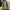 Vivienne Westwood Casual Tote bag Wanita multicolor photo 1