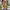 Coach Vintage Y2K Handbag Wanita tan brown photo 7