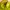 Black Yak Extreme Peak Outdoor Hiking Sport Jacket Polyester photo 4