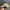 SMILEY WORLD - Topi Simple Cap Mustard Unisex photo 4