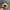 SMILEY WORLD - Topi Simple Cap Mustard Unisex photo 5