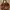 Prada Casual Handbag Wanita brown photo 2
