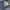 Baggy Denim Pants Zara Man Butterfly Bottom photo 5