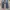 Vintage Denim Pants Levi's 501 XX Faded Butterfly Bottom photo 4