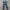 Guess long pants jeans regular fit photo 2