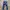 Tommy Hilfiger long pants denim slim tapered steve photo 2