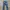 Diesel long pants denim slim fit photo 2