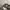 Sun belt Realtree Hats by Cap America photo 7