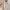Gore Tex Atunas Minimalist Beige Parka Jacket Casual photo 9