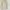 Gore Tex Atunas Minimalist Beige Parka Jacket Casual photo 5