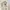 Gore Tex Atunas Minimalist Beige Parka Jacket Casual photo 6