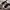 Nike React Escape Run 2 Sanddrift Black W photo 2