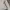 adidas sweater broken white pink logo photo 3