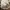 Vintage Shelburne country exhibition Trucker hat photo 7