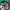 BARREL - Topi Snapback Camo Loreng Unisex photo 8