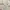 PRELOVED 